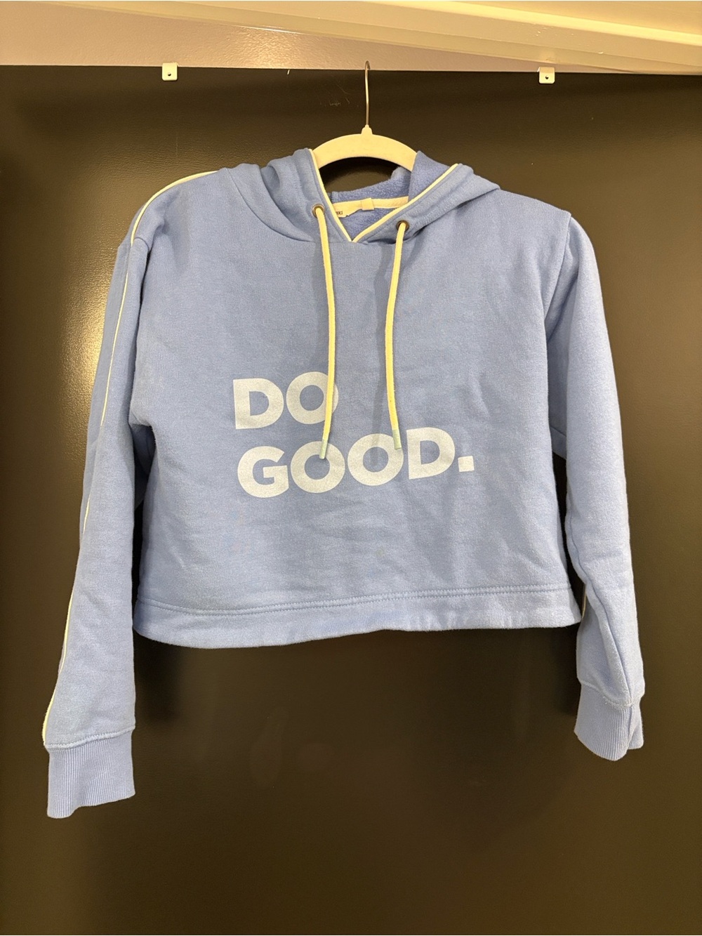 cotopaxi Light Blue organic Cropped Hoodie